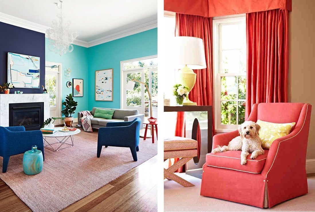 Two pictures of a living room with blue walls and a dog undergoing home renovation.